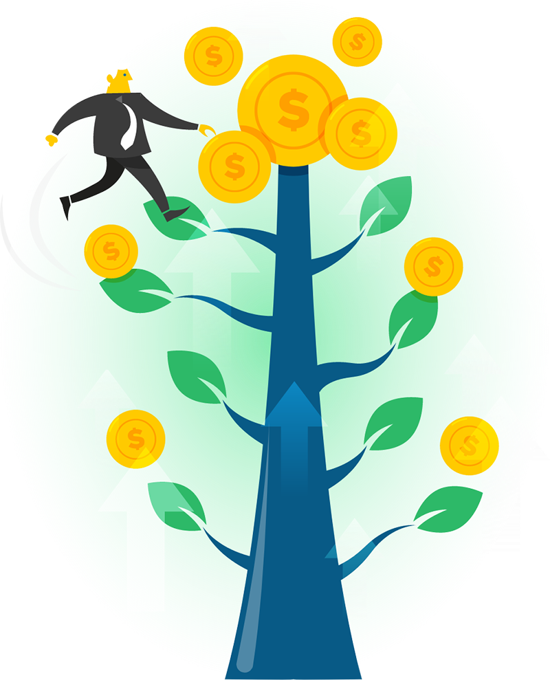 Investment Focus